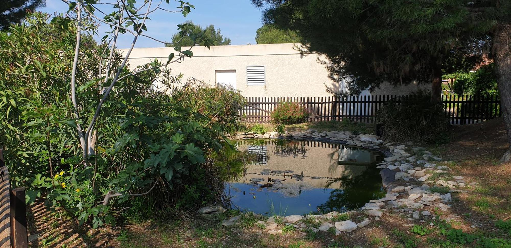 Maison"La Cigale Du Sud" كالفيسون المظهر الخارجي الصورة